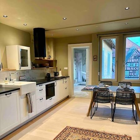 Suites Du Trefle Colmar Zewnętrze zdjęcie