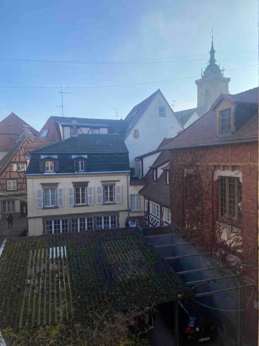 Suites Du Trefle Colmar Zewnętrze zdjęcie