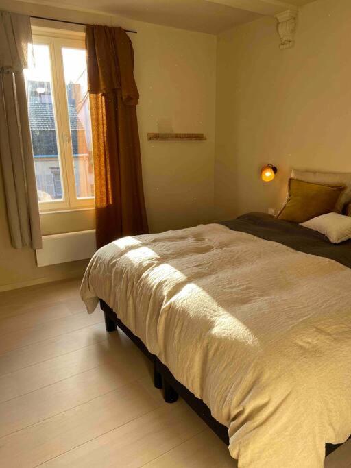 Suites Du Trefle Colmar Zewnętrze zdjęcie